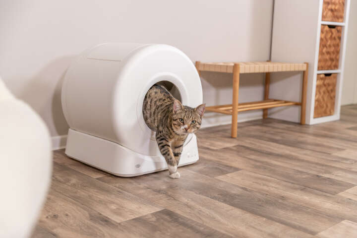TRIXIE Smarte selbstreinigende Katzentoilette
